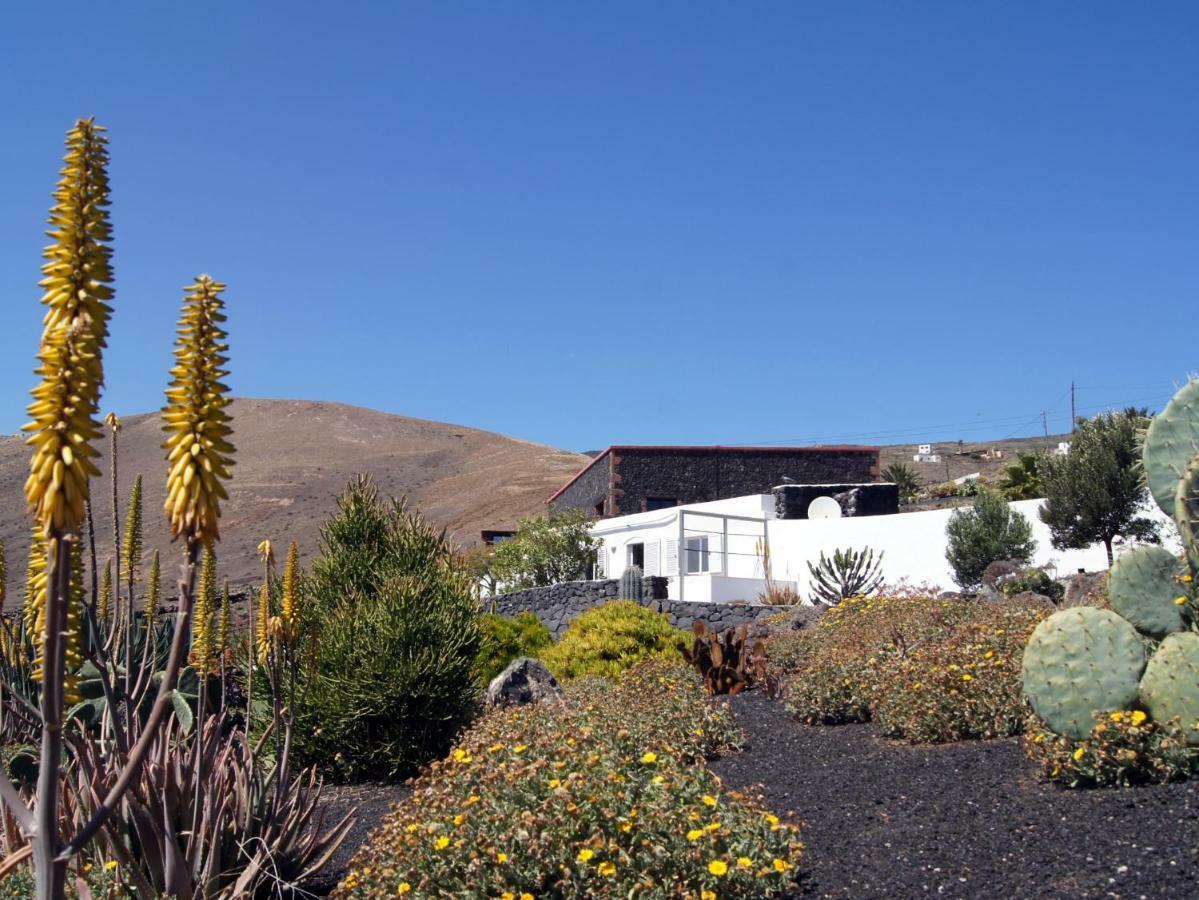 Castillo Lanzarote Villa Winni - Luxury Villa - Pet Friendly With Heated Pool La Asomada  Ngoại thất bức ảnh