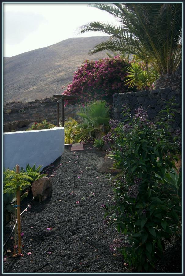 Castillo Lanzarote Villa Winni - Luxury Villa - Pet Friendly With Heated Pool La Asomada  Ngoại thất bức ảnh
