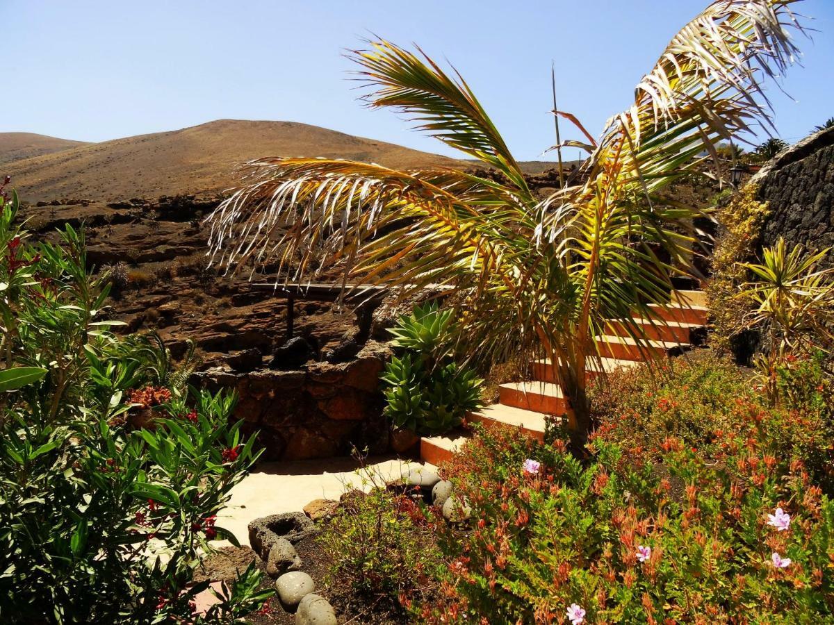 Castillo Lanzarote Villa Winni - Luxury Villa - Pet Friendly With Heated Pool La Asomada  Ngoại thất bức ảnh